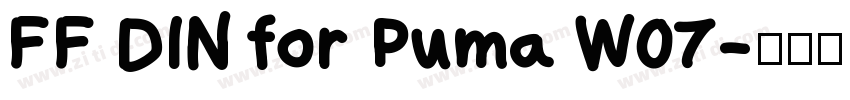 FF DIN for Puma W07字体转换